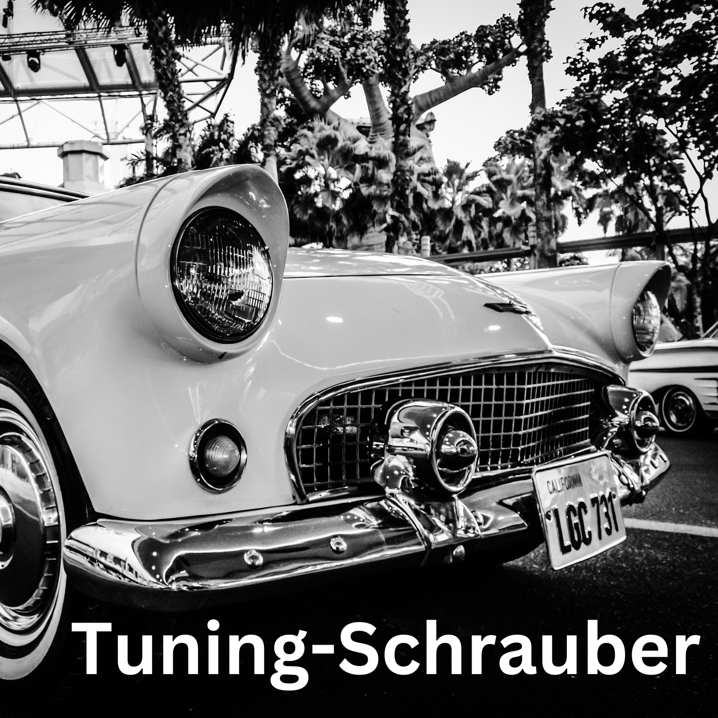 Tuning-Schrauber